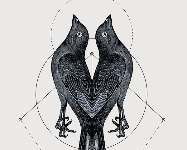 hannes_hummel_panoply_dribble_big_02