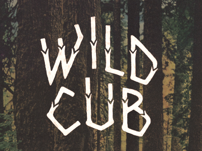 wild-cub_dribbble_2