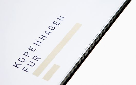012612-053907AM_republic_kopenhagenfur_02