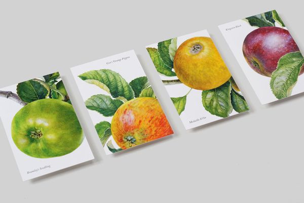 02-Aspall-Business-Cards-by-NB-Studio-on-BPO