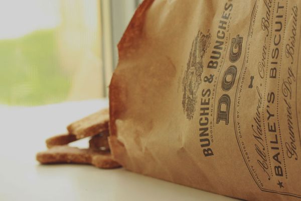 58_bunchesbunchesdogtreats800px07