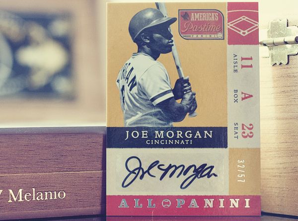 All_Panini_Large_Dribbble