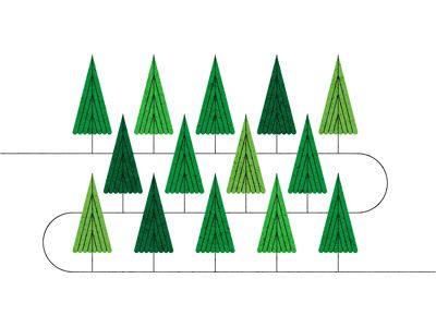 forest