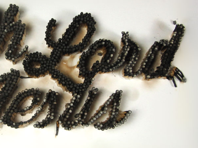 screen_shot_2013-03-31_at_11.14.24_pm