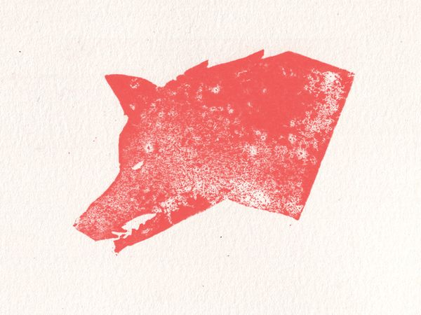 wolf-dribbble