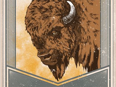 buffalo