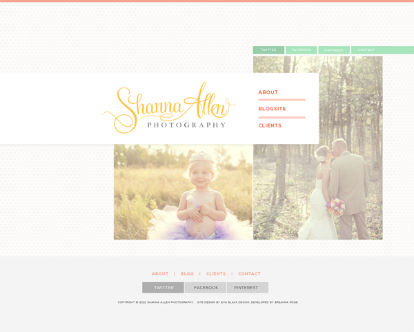 ebd-shanna-dribbble