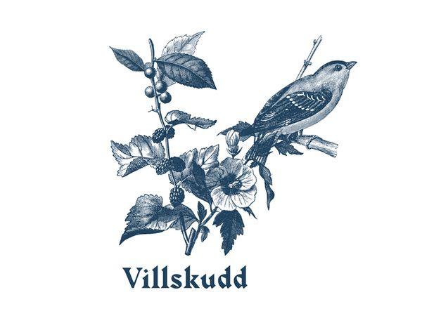 villskudd_rejected