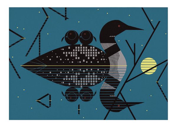 Claire-de-Loon-Bordered