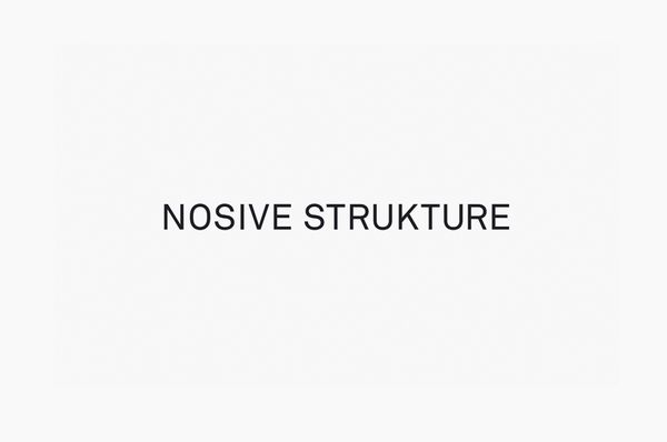 01_Nosive_Strukture_Logotype_by_Bunch_on_BPO