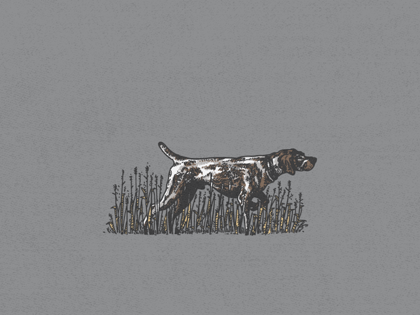 fw_dog_pointer2
