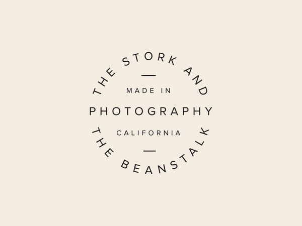 dribbble-1 copy