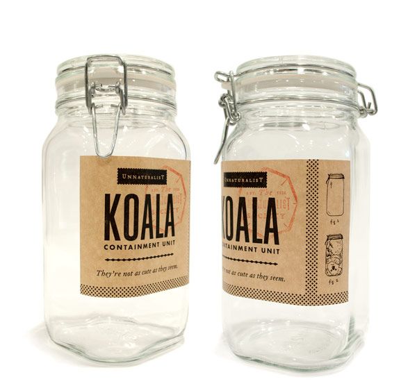 Koala_1