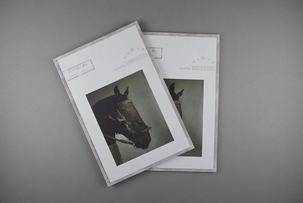 aa_journal-1