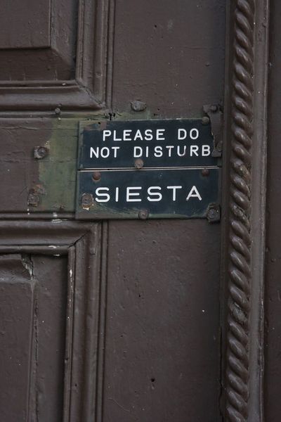 tumblr_msp2c3C8qL1qghwvoo1_500 copy