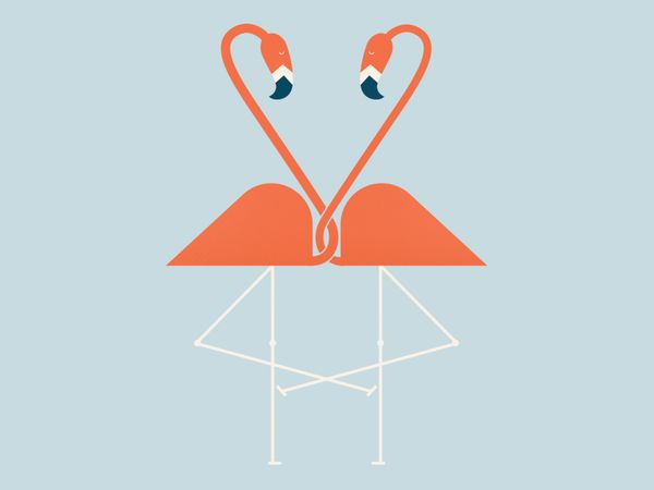 flamingo-love