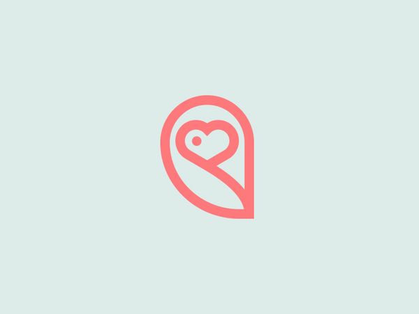owl copy