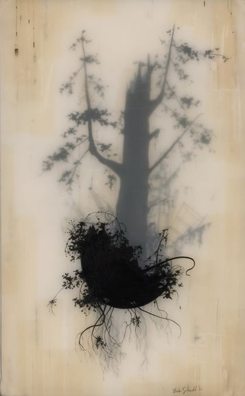 10_06nested