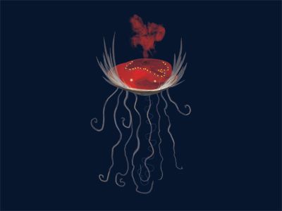 jelly
