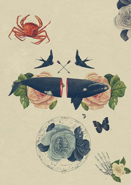 af2f9960a08ff062b088897103dba2d9_jojAKCCt_l