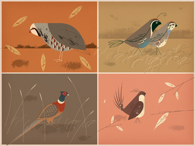birds