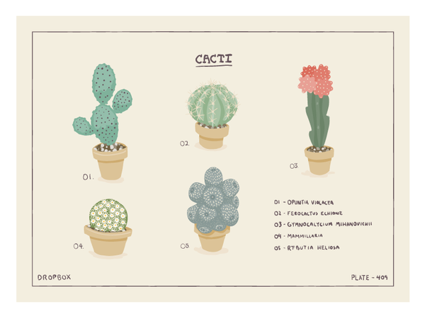 cacti