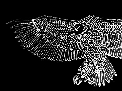 eagle_illustration_negative_small