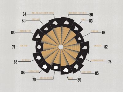 infographic