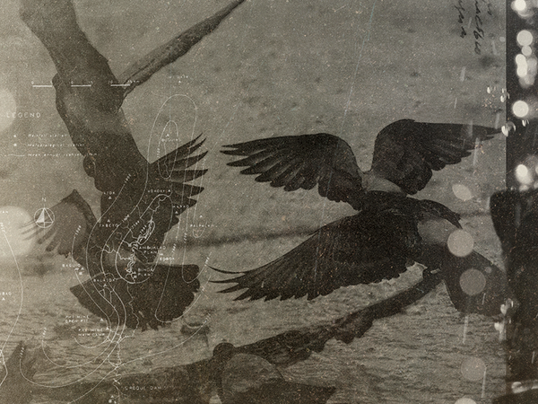 screen_shot_2013-01-15_at_5.42.20_pm