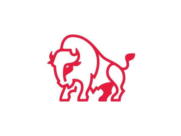 bison copy