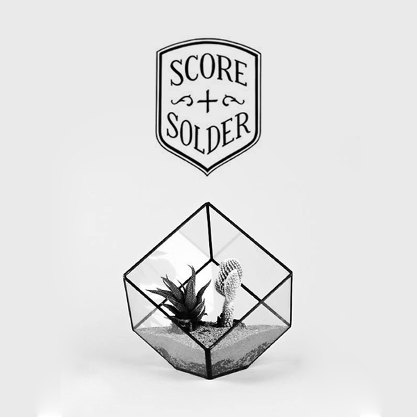 tumblr_n6caruihqD1tycizgo1_1280