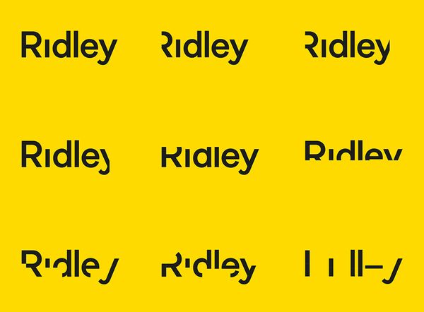 01-Ridley-Logotype-designed-by-RE-on-BPO