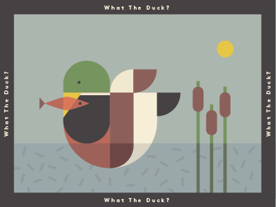 what_the_duck-02