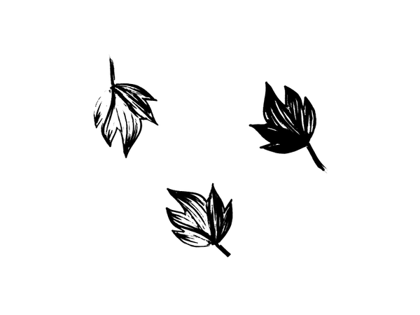 dribbble_leaf