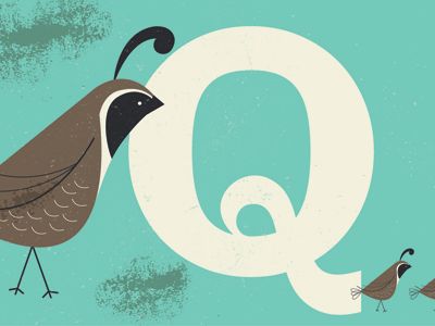 q