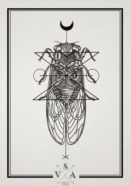 1563732581111_jS1P1jOt_l