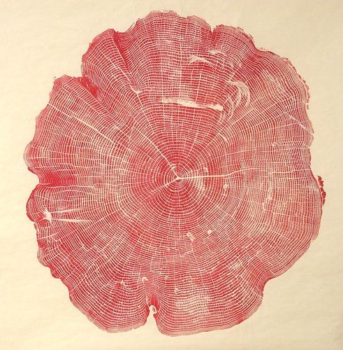 062212-075551AM_01_2_Woodcut_Ash_Red_p23_0