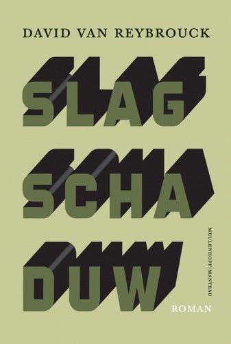 slagschaduw.large