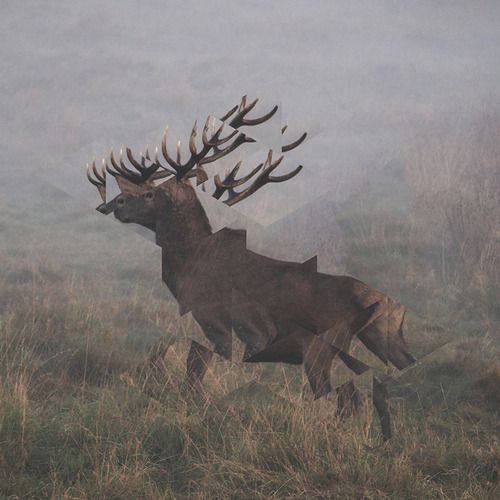 1177459784612_8O98d7K0_l