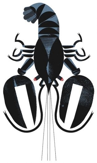 593971632404_dFvDSvTy_l