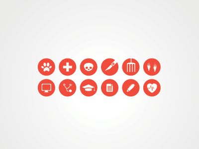 dribbble9
