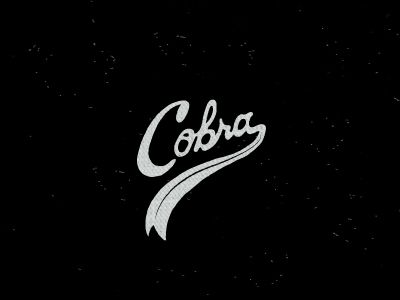 060211-104829AM_cobra2