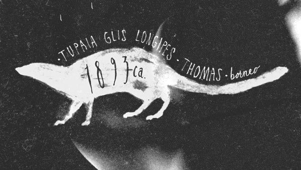 b86509306cd2d3e0d921b79eb91915b8