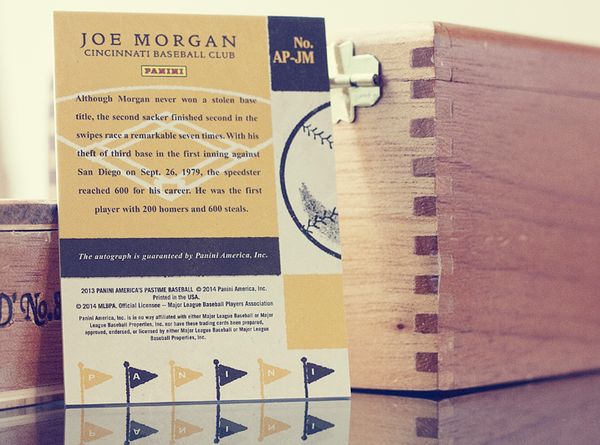 All_Panini_Large_back_Dribbble