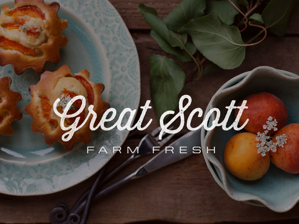 screen_shot_2013-09-05_at_7.00.53_am