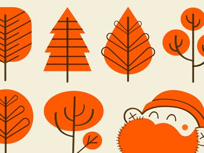 timberdrib