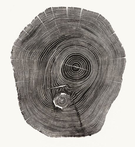 062212-075639AM_06_Woodcut_Locust_p43_0