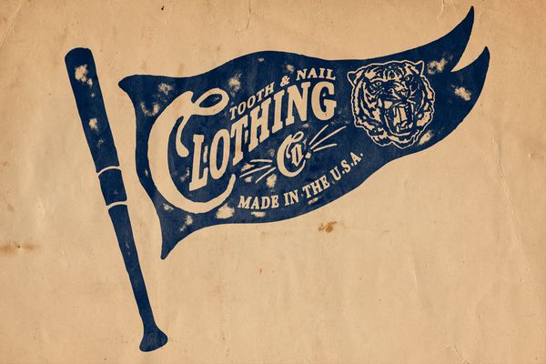 TN_pennant_full_dribbble