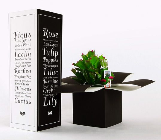 fresh_flowers1