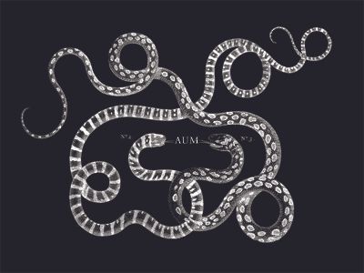 aum_3